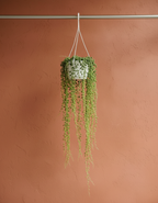 String Of Pearls