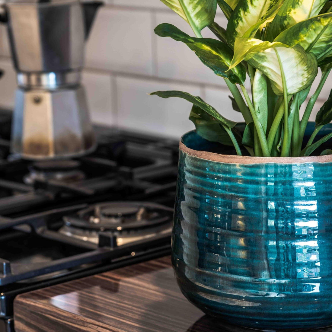 Como Planter In Turquoise