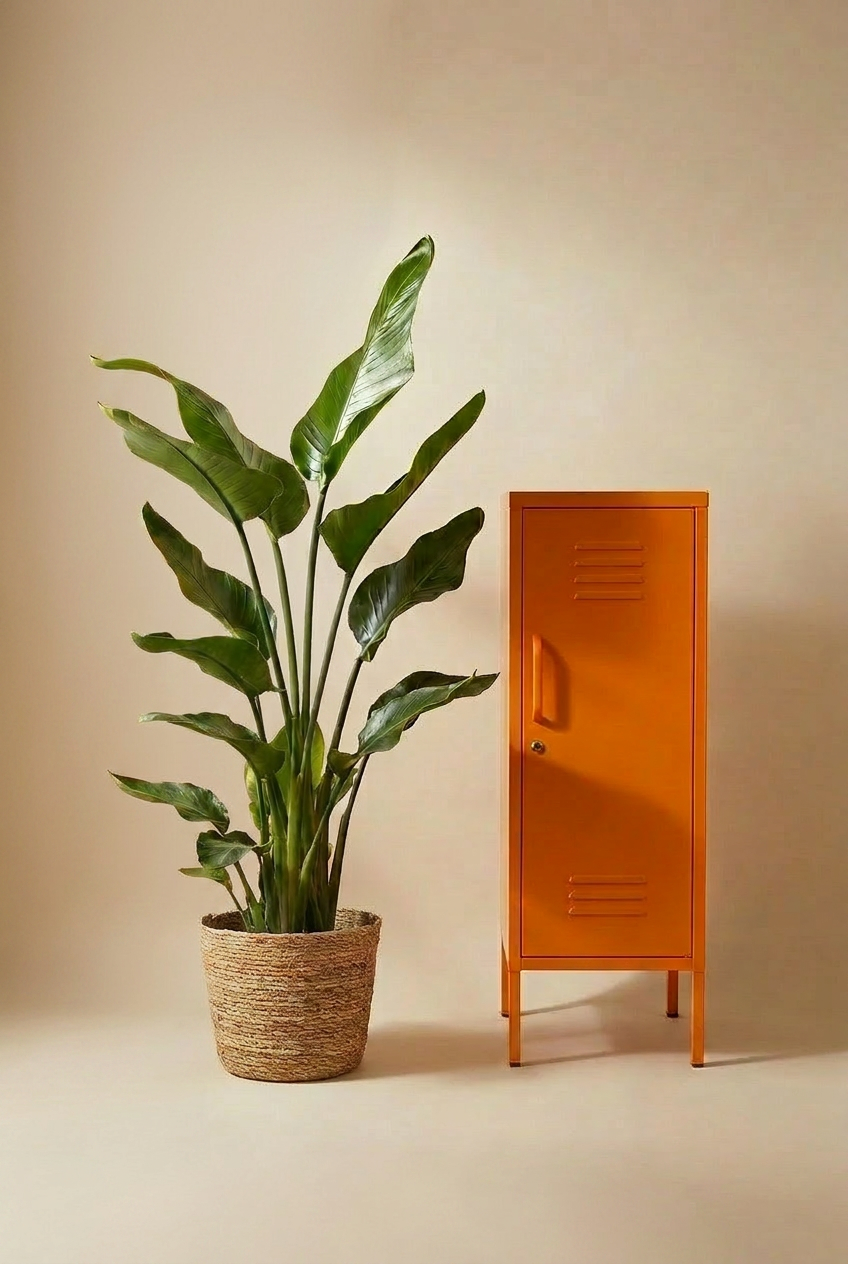 Medium Bird Of Paradise