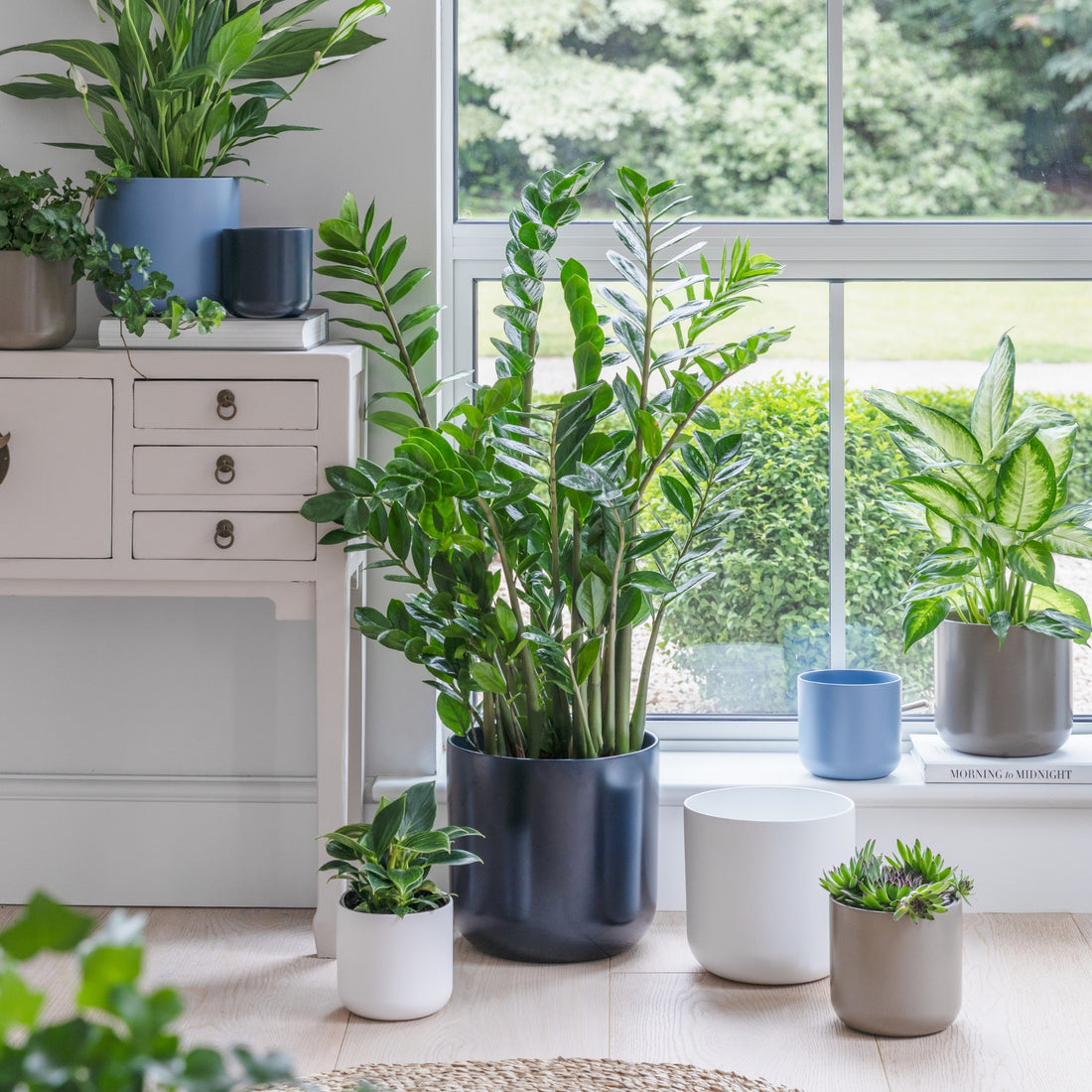 Lisbon Planter in French Navy