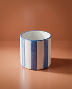 Rosemary & Pot Set
